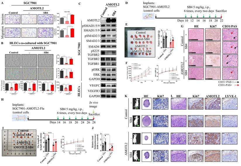 Int J Biol Sci Image
