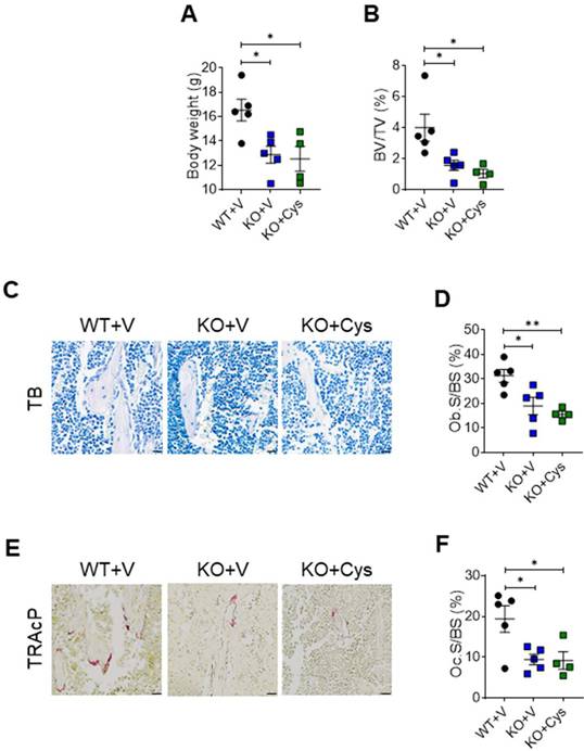 Int J Biol Sci Image
