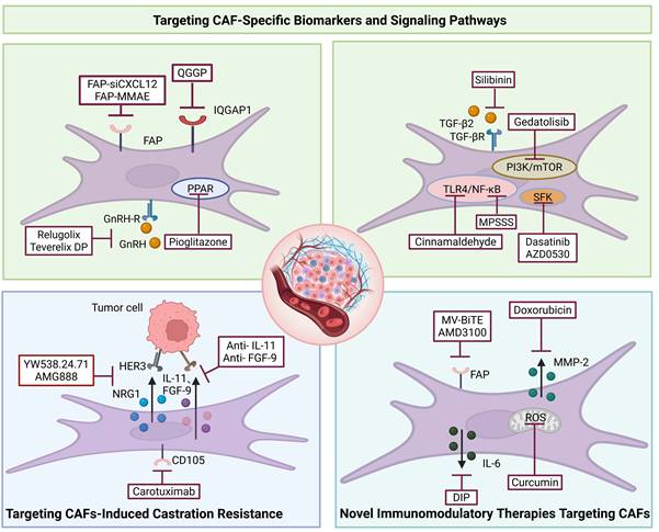 Int J Biol Sci Image