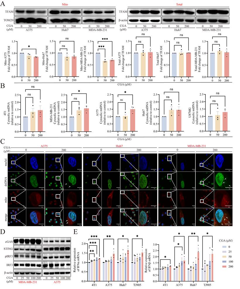 Int J Biol Sci Image
