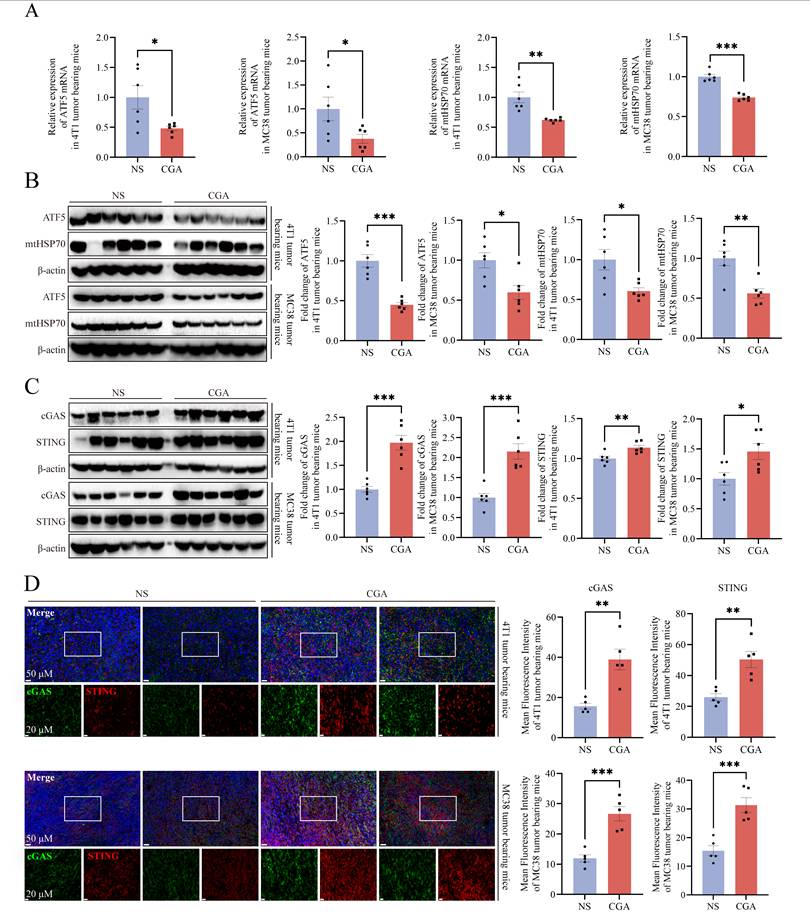Int J Biol Sci Image