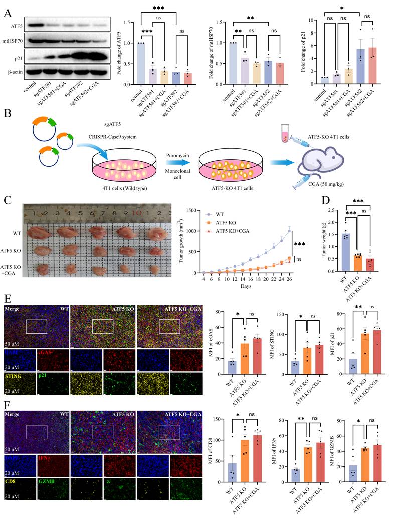 Int J Biol Sci Image