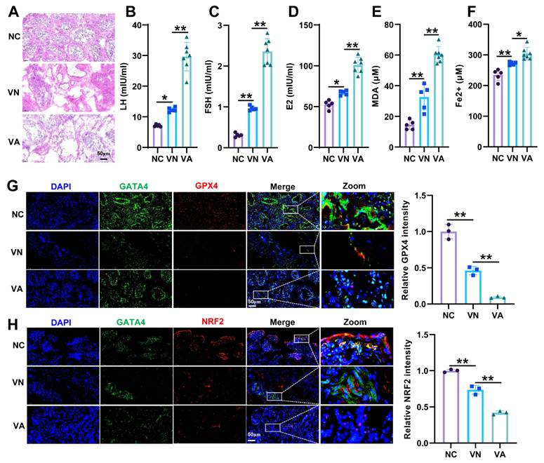 Int J Biol Sci Image