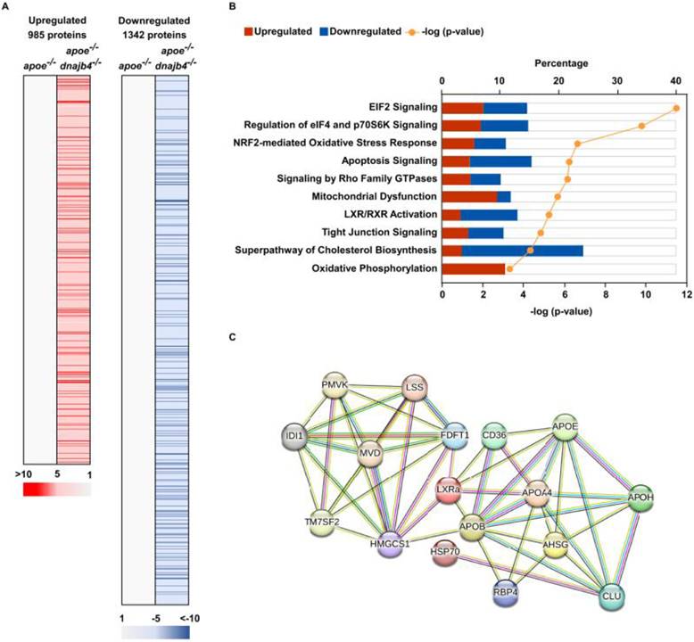Int J Biol Sci Image
