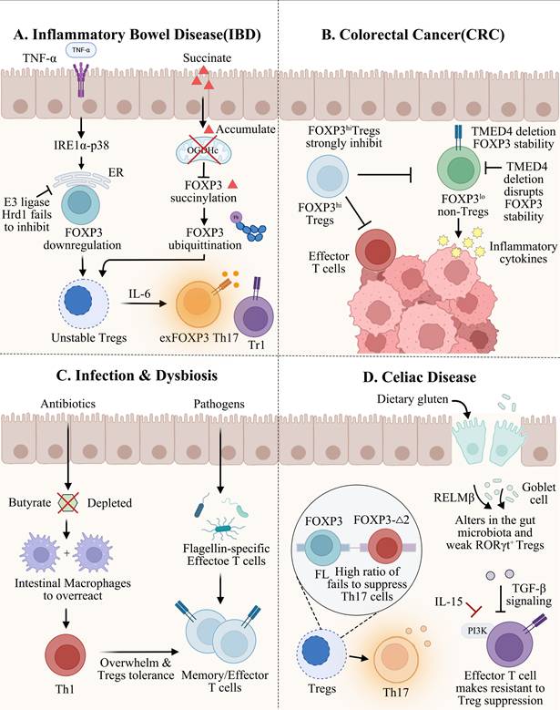 Int J Biol Sci Image