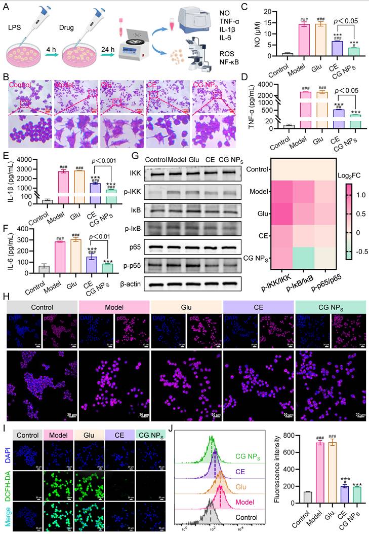 Int J Biol Sci Image