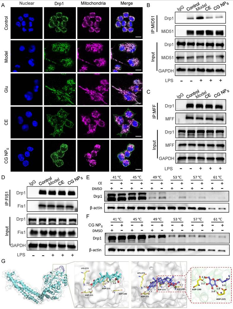 Int J Biol Sci Image