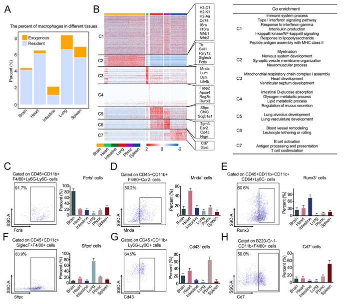 Int J Biol Sci Image