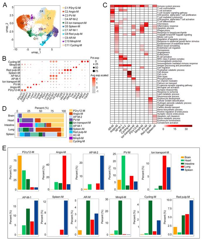 Int J Biol Sci Image