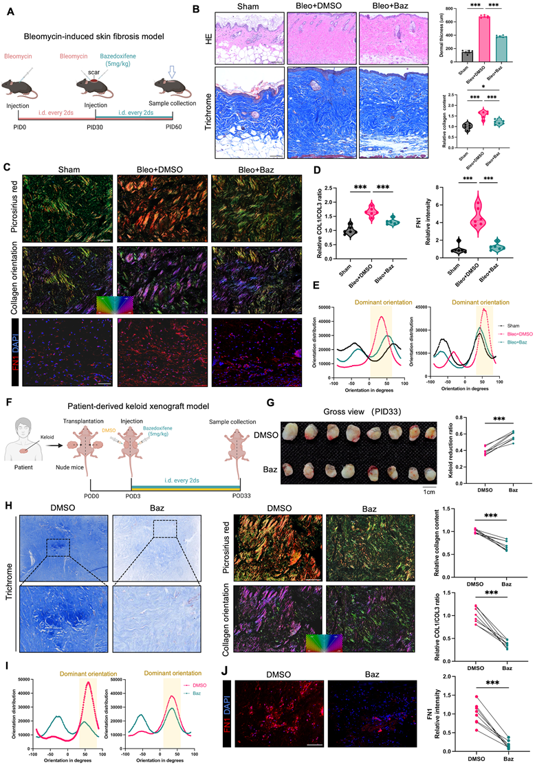 Int J Biol Sci Image