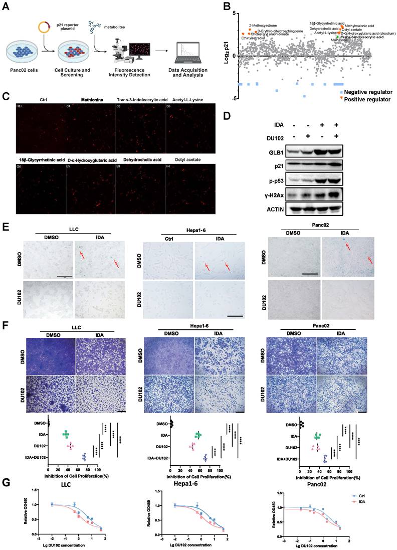 Int J Biol Sci Image
