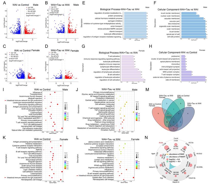 Int J Biol Sci Image