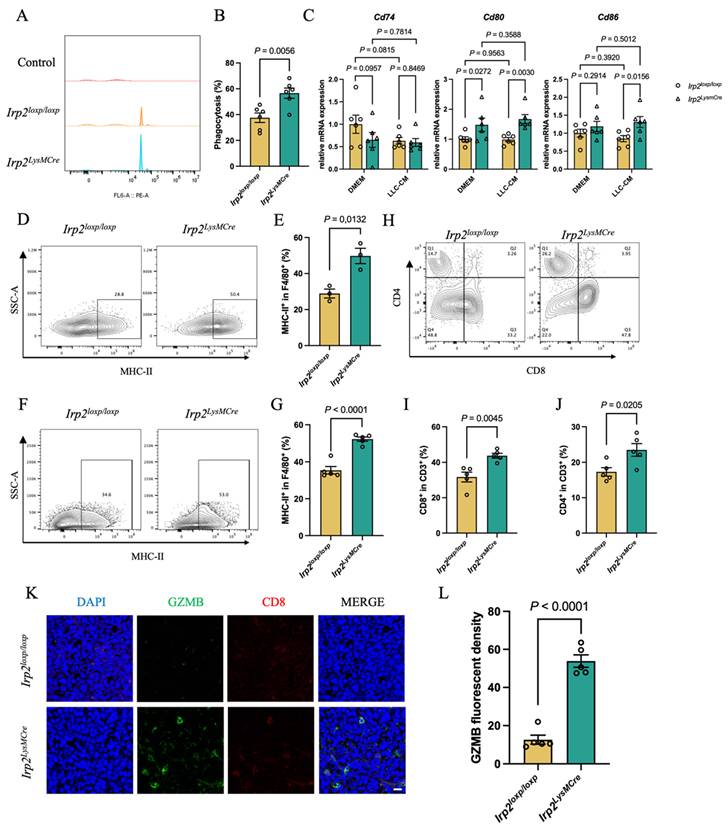 Int J Biol Sci Image
