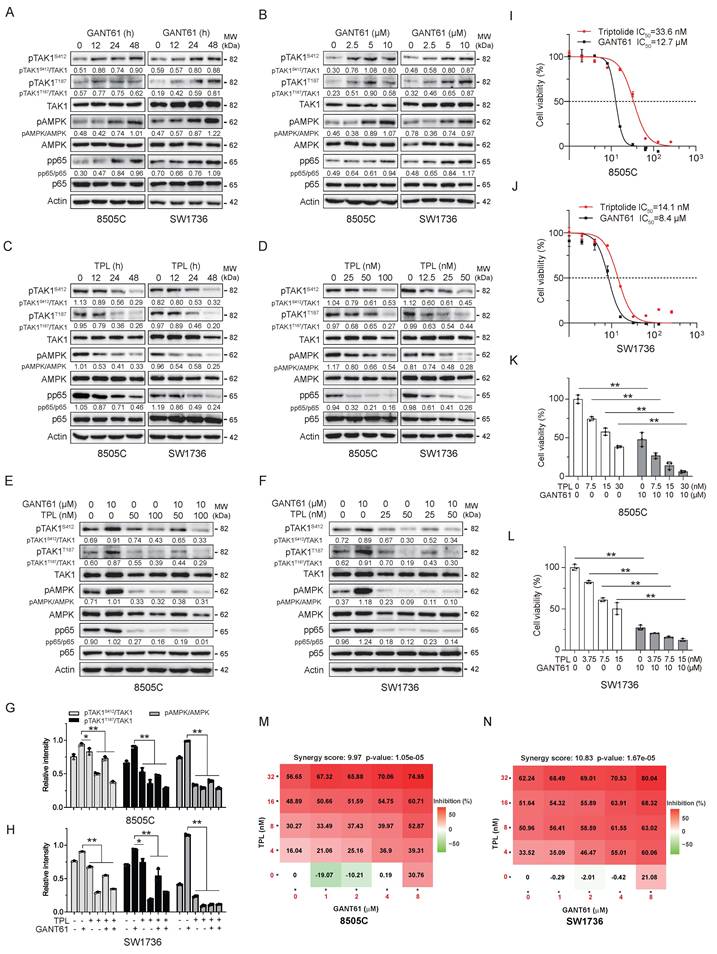 Int J Biol Sci Image