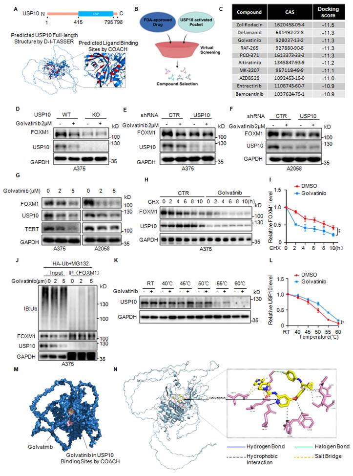 Int J Biol Sci Image