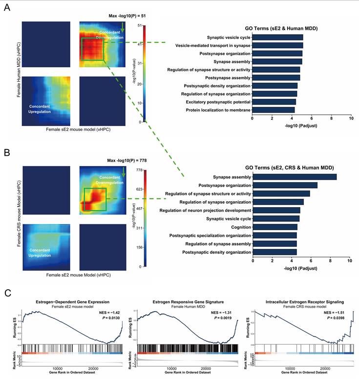 Int J Biol Sci Image