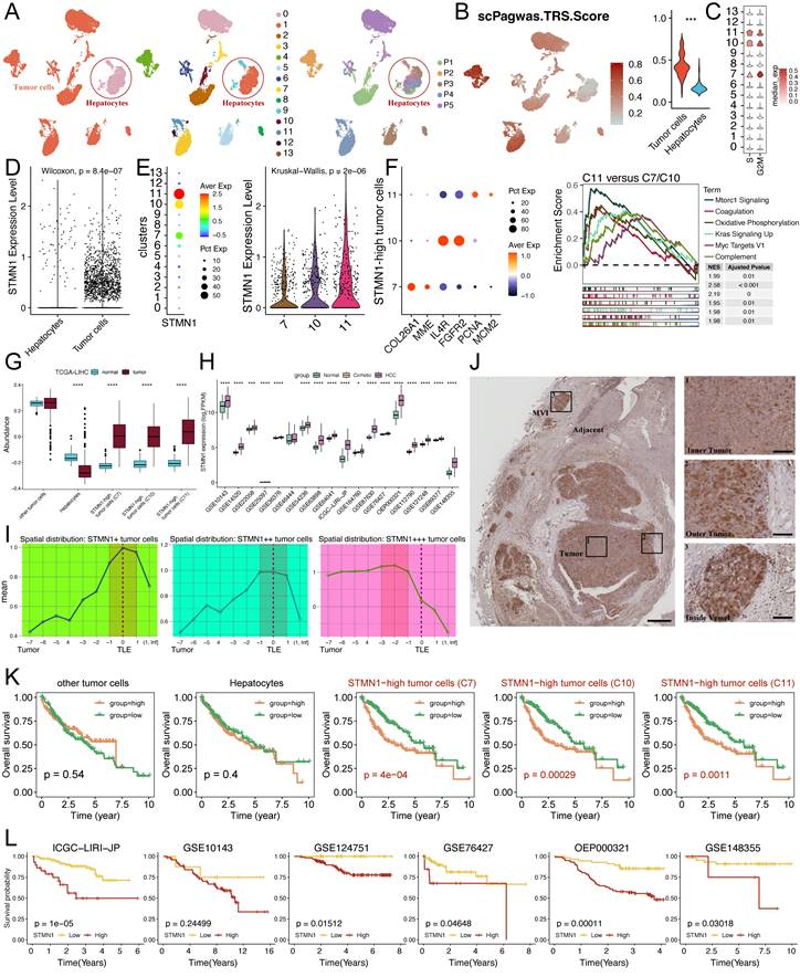 Int J Biol Sci Image
