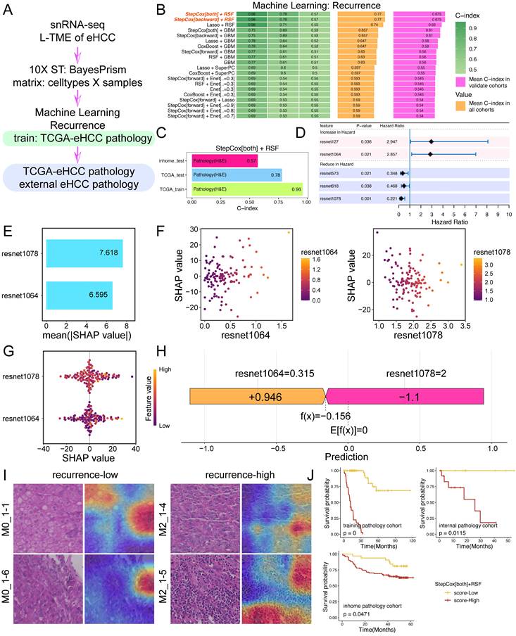 Int J Biol Sci Image