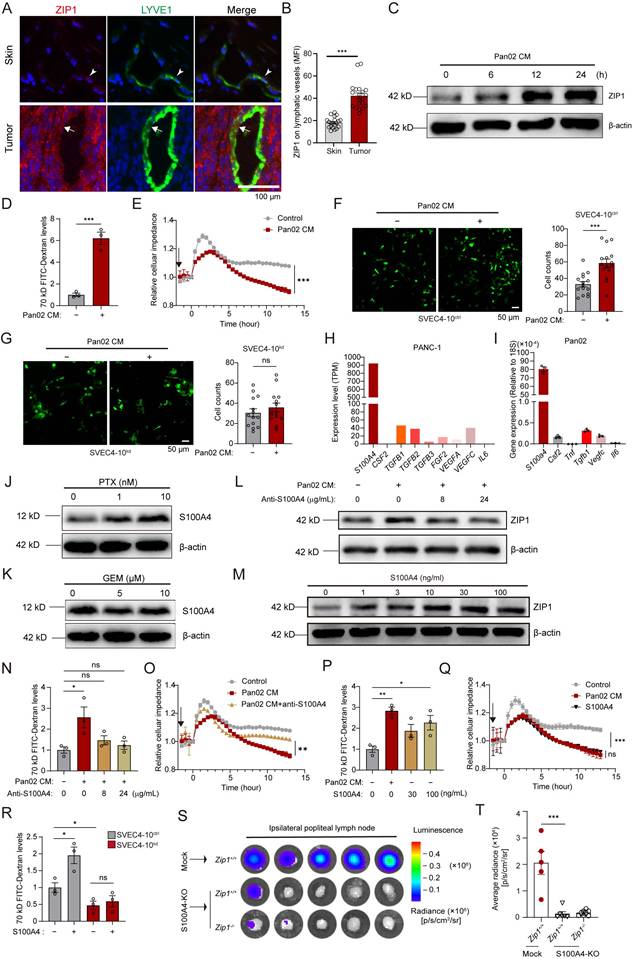Int J Biol Sci Image