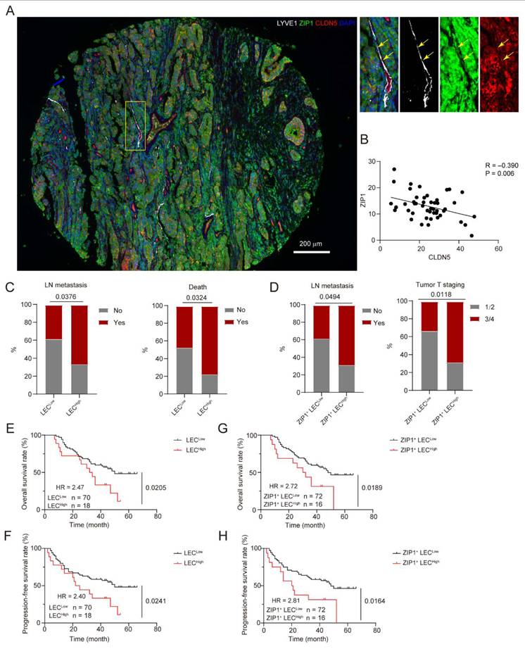 Int J Biol Sci Image