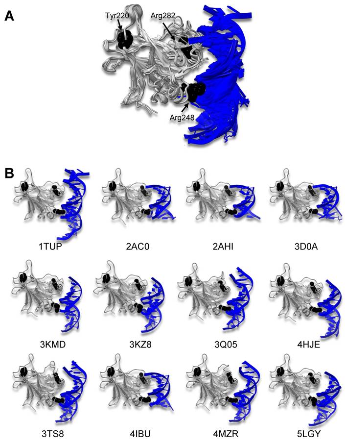 Int J Biol Sci Image