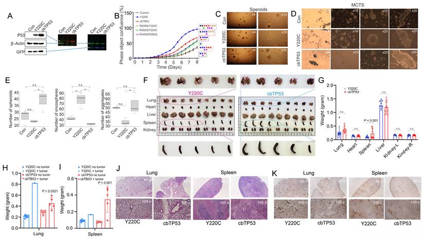 Int J Biol Sci Image