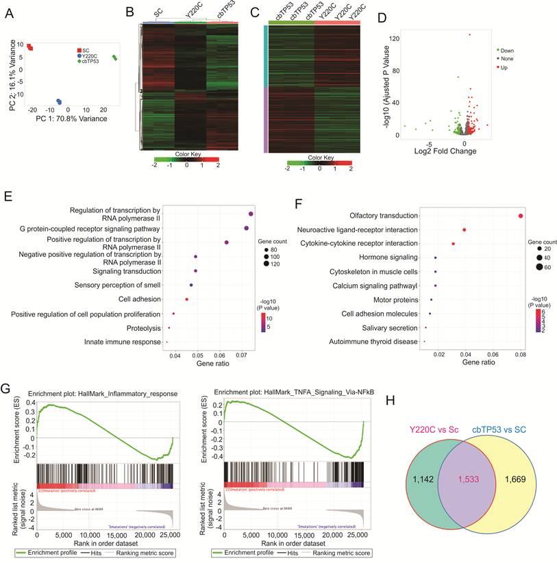 Int J Biol Sci Image