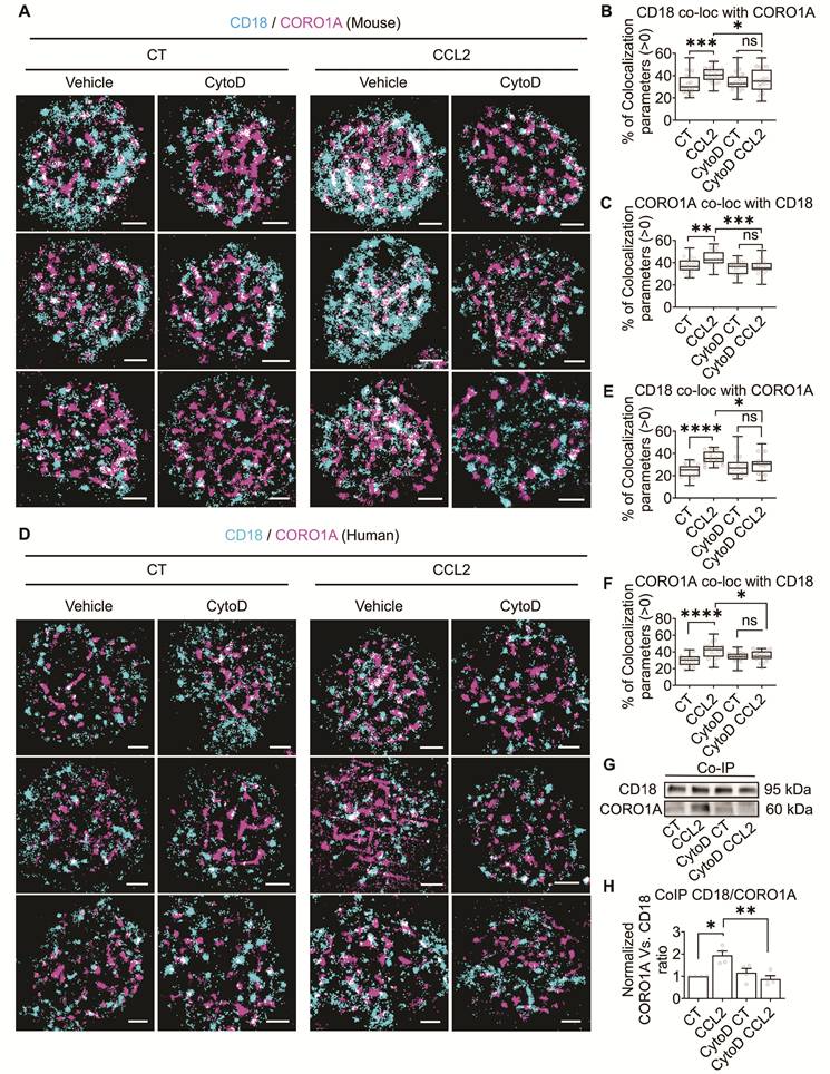 Int J Biol Sci Image