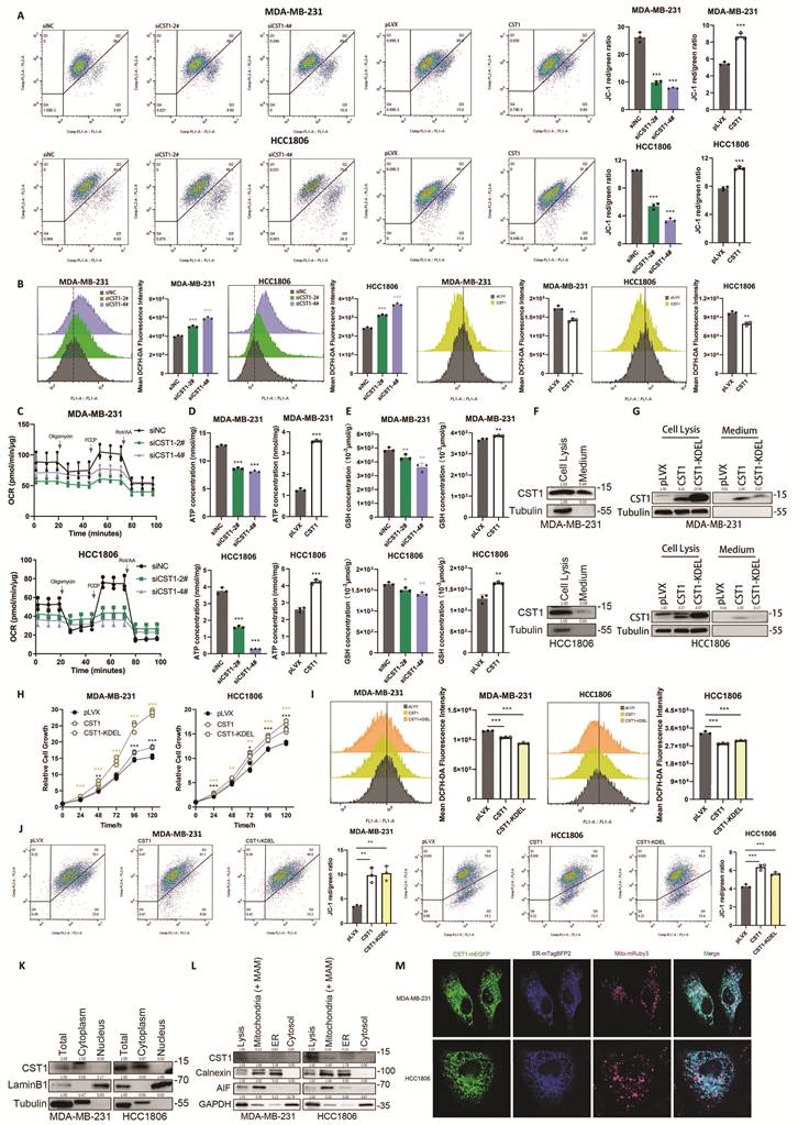 Int J Biol Sci Image