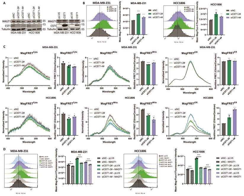 Int J Biol Sci Image