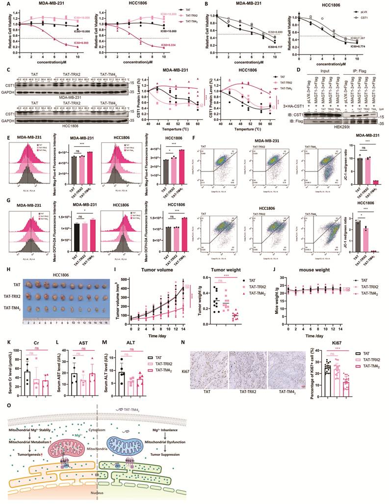 Int J Biol Sci Image
