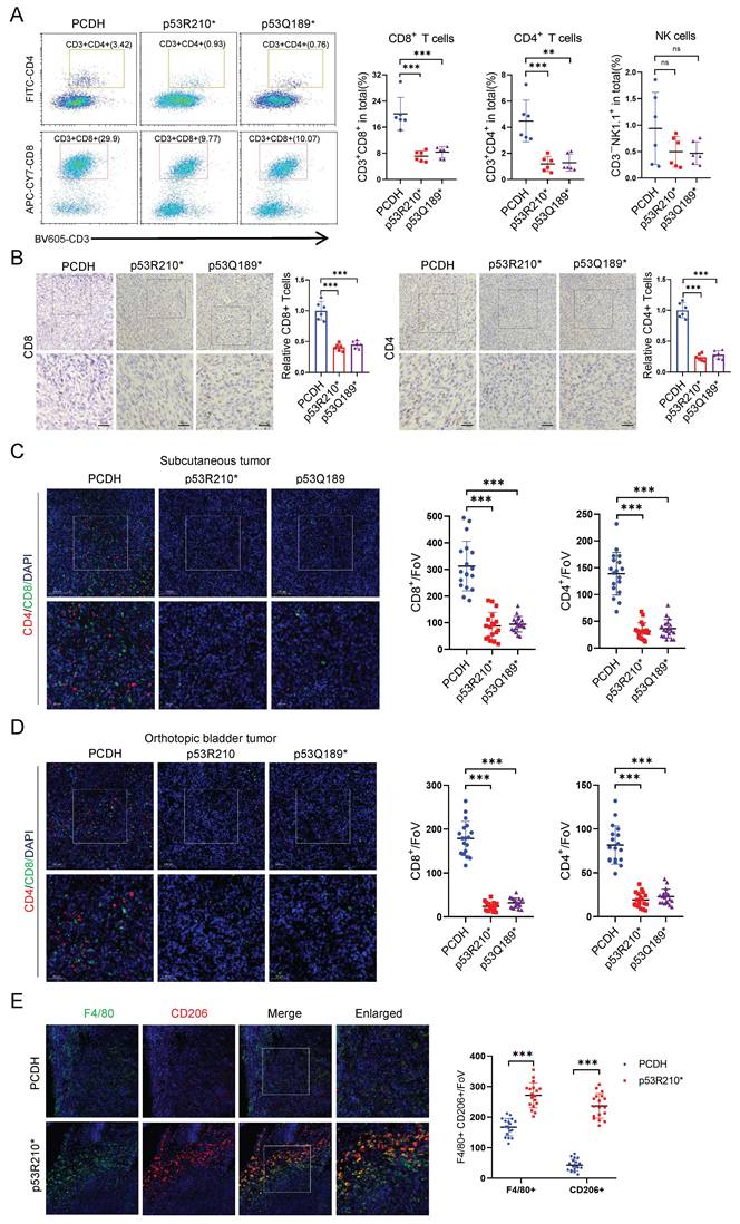 Int J Biol Sci Image