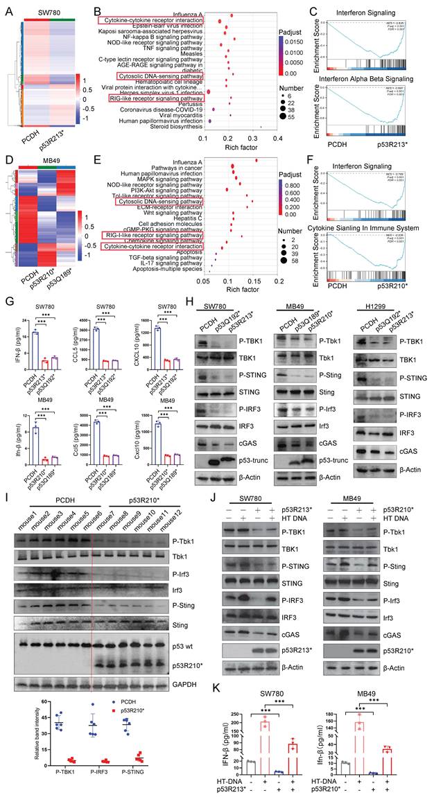 Int J Biol Sci Image