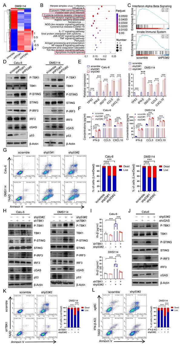 Int J Biol Sci Image
