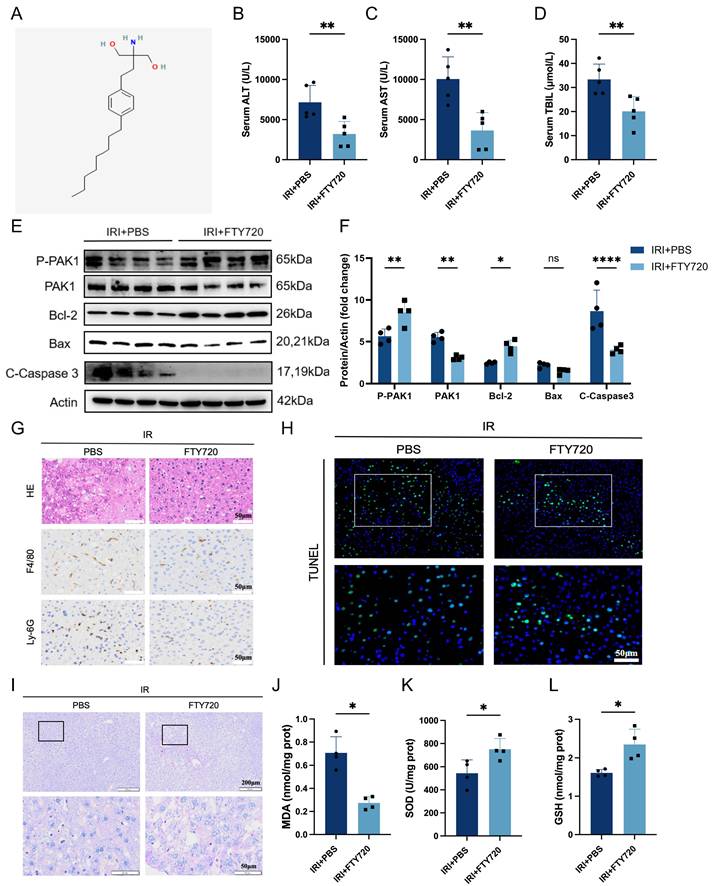 Int J Biol Sci Image