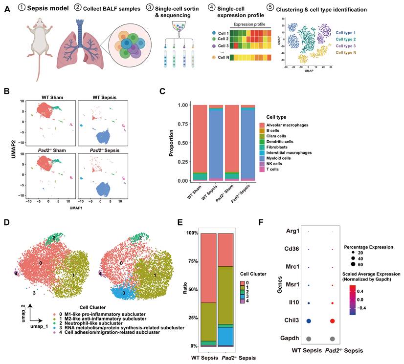 Int J Biol Sci Image