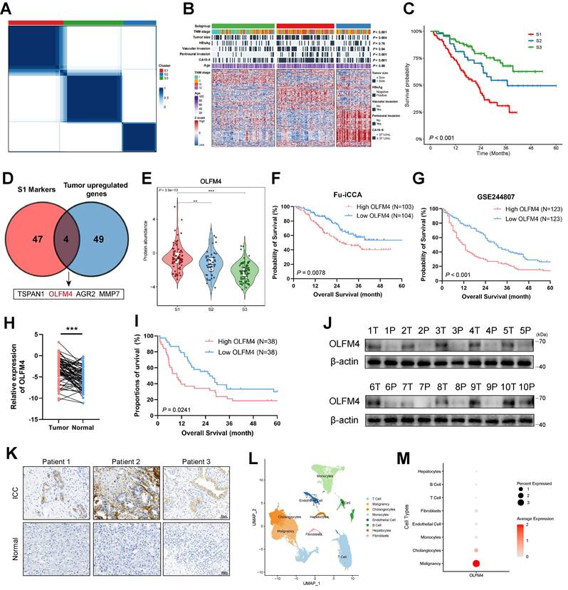 Int J Biol Sci Image
