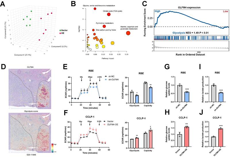 Int J Biol Sci Image