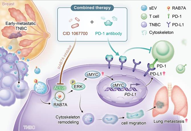 Int J Biol Sci Image