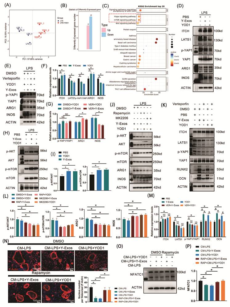 Int J Biol Sci Image