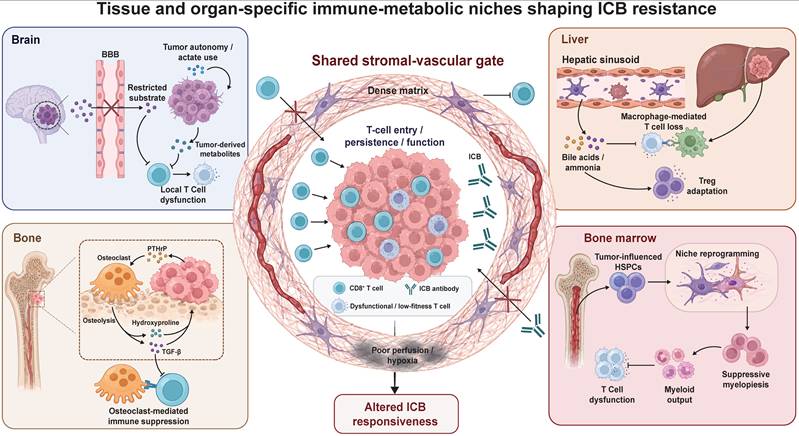 Int J Biol Sci Image