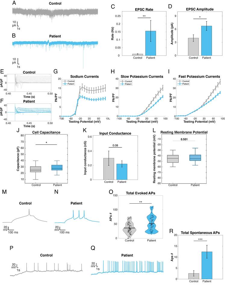 Int J Biol Sci Image