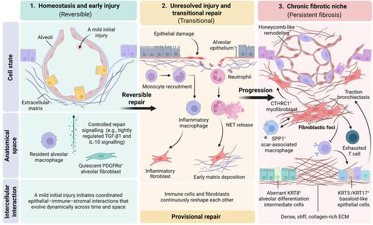 Int J Biol Sci Image