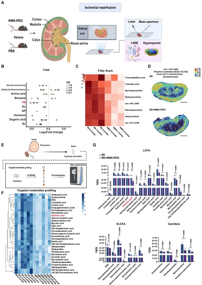 Int J Biol Sci Image