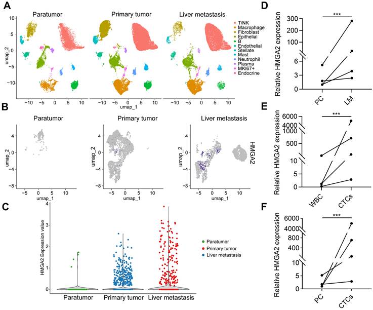 Int J Biol Sci Image
