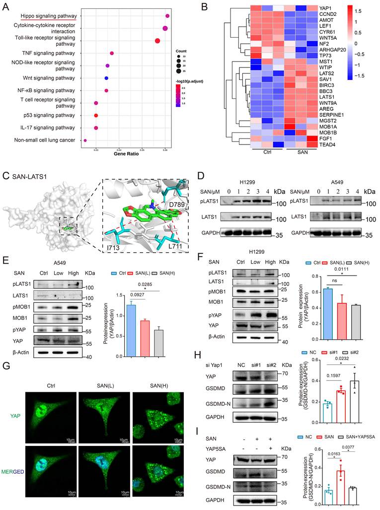 Int J Biol Sci Image
