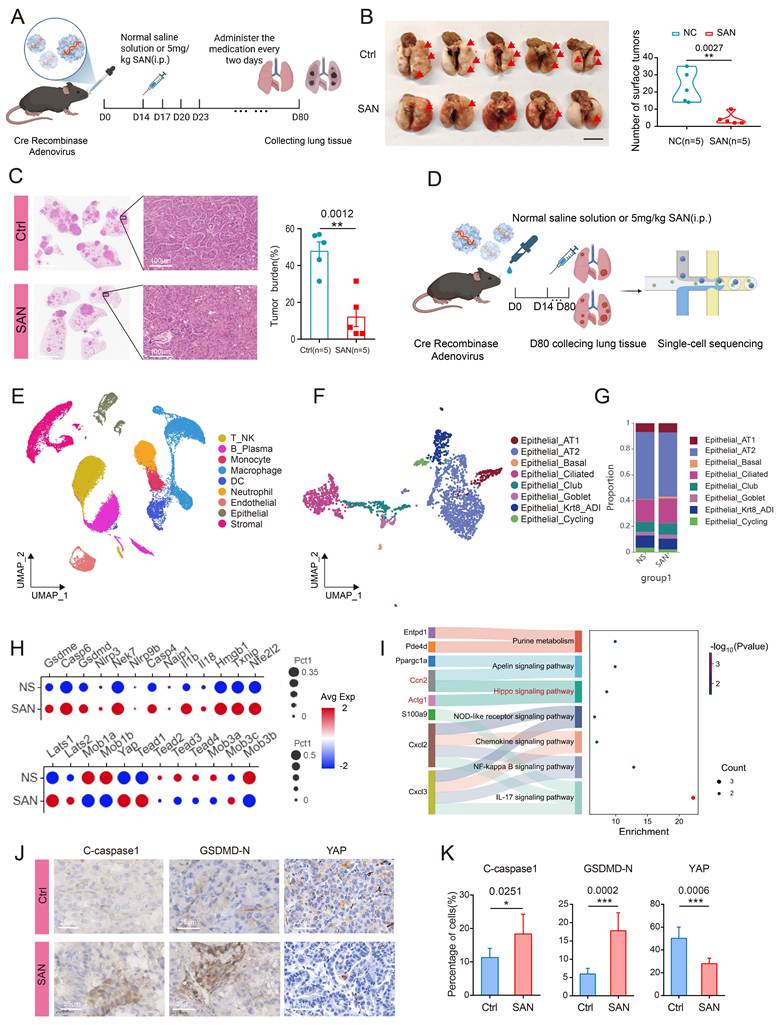 Int J Biol Sci Image